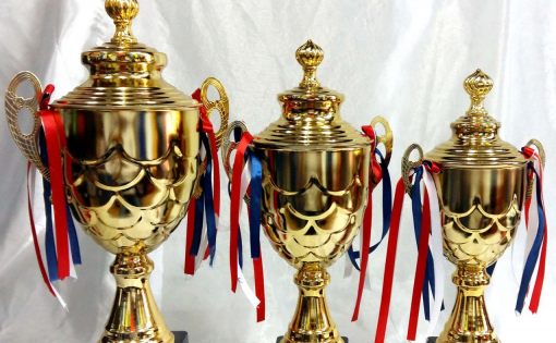 СГУ - победитель II этапа Универсиады ВУЗов области 2018-2019 учебного года