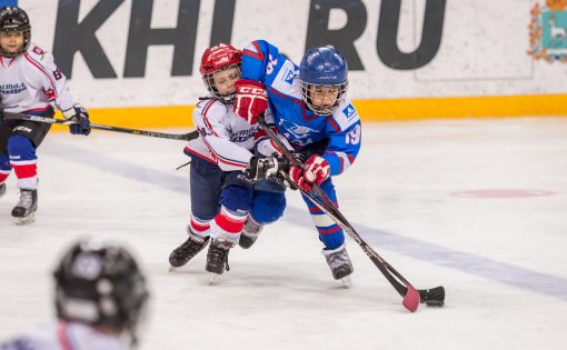 «Спорт - норма жизни»: На развитие хоккея в области будет направлено более 25 млн рублей