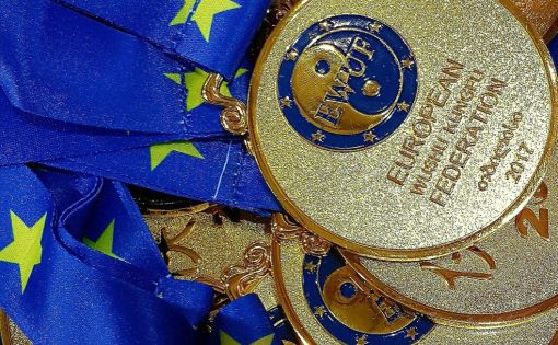 Спортсмены Саратовской области заняли призовые места  на Первенстве Европы по ушу