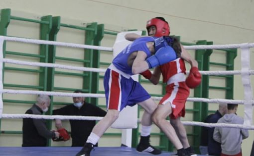 В Саратове завершились чемпионат и Первенство области по боксу