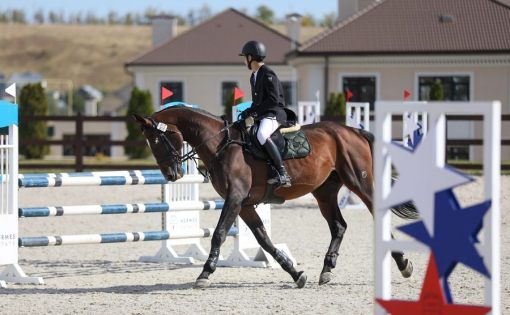 В Саратове прошли конно-спортивные соревнования по конкуру на Кубок Губернатора 