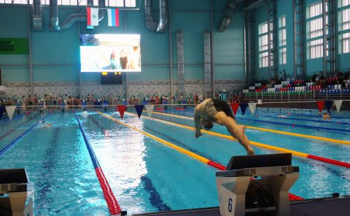 Во Дворце водных видов спорта прошел чемпионат Саратовской области по плаванию
