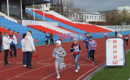 В Саратове состоялся Областной фестиваль Всероссийского физкультурно-спортивного комплекса ГТО «Папа, мама, я - спортивная семья!»