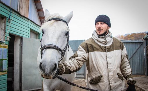 Туроператорам региона презентовали зимние конные программы
