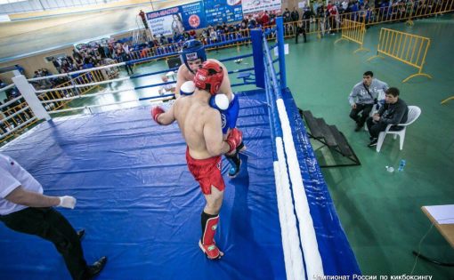 Саратовские спортсмены заняли призовые места  на Кубке России по кикбоксингу