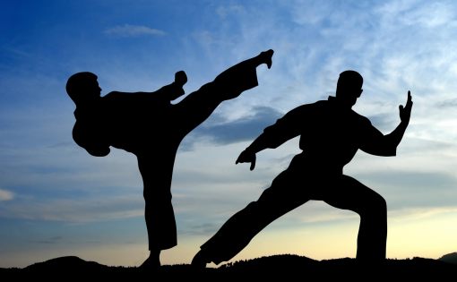 Саратовские спортсмены приняли участие во Всероссийских соревнованиях по всестилевому каратэ