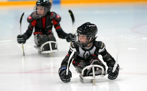 Для популяризации детского следж-хоккея в Саратове проведут товарищеский матч