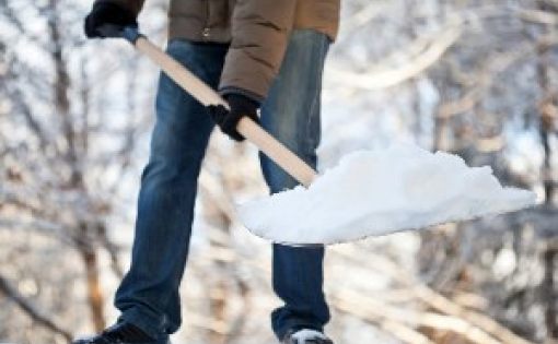 Бойцы студенческих отрядов Саратовской области помогут в уборке от снега улиц Саратова
