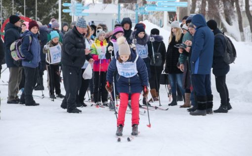 Зимний фестиваль ГТО прошел в Татищевском районе