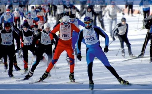 Любителей активного отдыха ждут на спортивном празднике «Саратовская лыжня-2019»