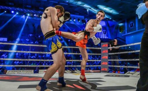 Саратовские спортсмены принимают участие в чемпионате и Первенстве России по кикбоксингу