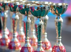 В Саратове прошли областные соревнования по всестилевому каратэ