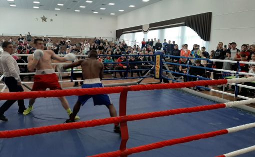 В рамках Первенства г.Энгельса прошел бой по правилам профессионального бокса