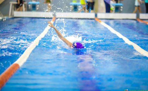 В Пензе проходят отборочные соревнования на Кубок России по плаванию