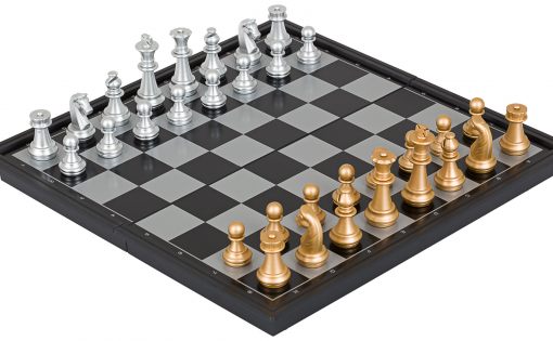 Денис Палин в топ-10 на чемпионате мира по шахматам 