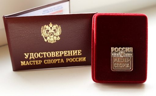 Министр спорта России Олег Матыцин присвоил звания «Мастер спорта России» саратовским спортсменам