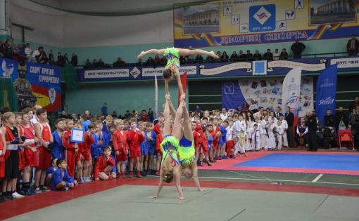 В Саратове прошел открытый Фестиваль спортивных единоборств 
