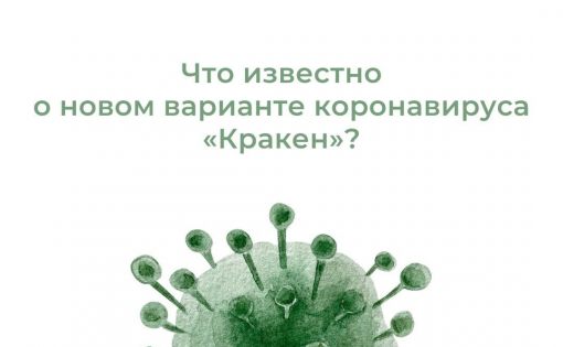 Особенности нового штамма коронавируса "кракен"