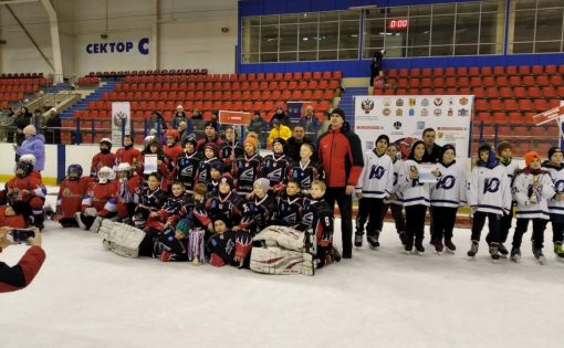 В области завершился региональный этап соревнований юных хоккеистов «Золотая шайба»