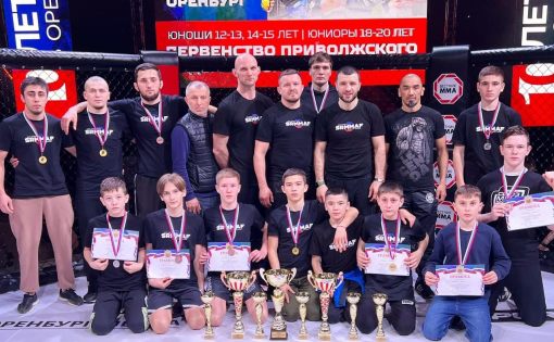 Саратовские спортсмены успешно выступили на Первенстве ПФО по смешанному боевому единоборству (ММА)