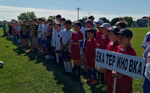 Матчи турнира по футболу среди дворовых команд на Кубок Губернатора прошли в Екатериновке