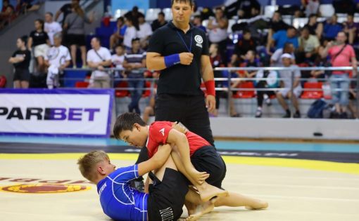 Саратовцы завоевали 22 медали Первенства ПФО по спортивной борьбе