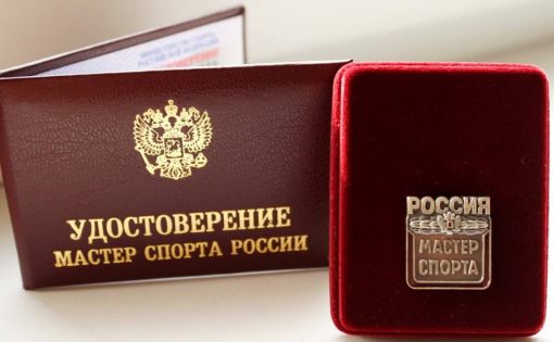 Министр спорта России Олег Матыцин присвоил саратовским спортсменам и судьям новые звания: 
