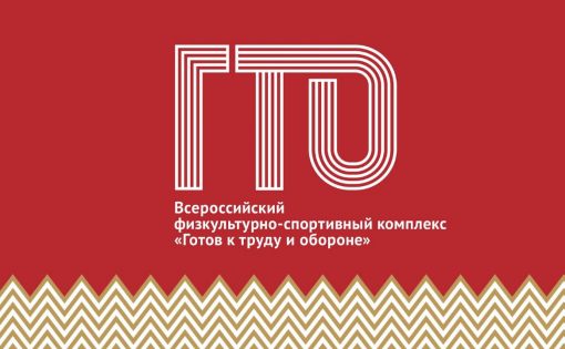 В Балаково состоялся региональный этап летнего фестиваля ВФСК ГТО среди трудовых организаций области