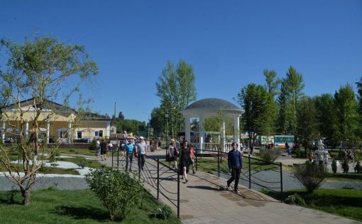 В обновленном городском парке Вольска прошел областной фестиваль спорта