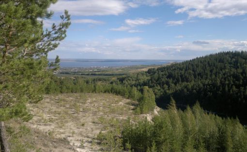 «Хвалынский» национальный парк вошел в 10-ку популрных парков по итогам 2016 года