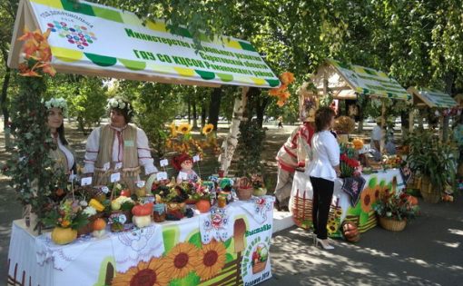 Более 2000 жителей и гостей Балашова уже приняли участие в «Марафоне здоровья»