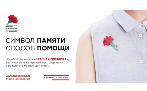 В мае стартует Всероссийская акция «Красная гвоздика»
