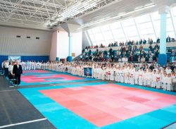 В Саратове прошли областные соревнования по всестилевому каратэ