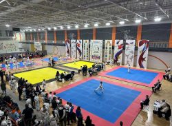В Воронеже прошли Всероссийские соревнования по всестилевому карате
